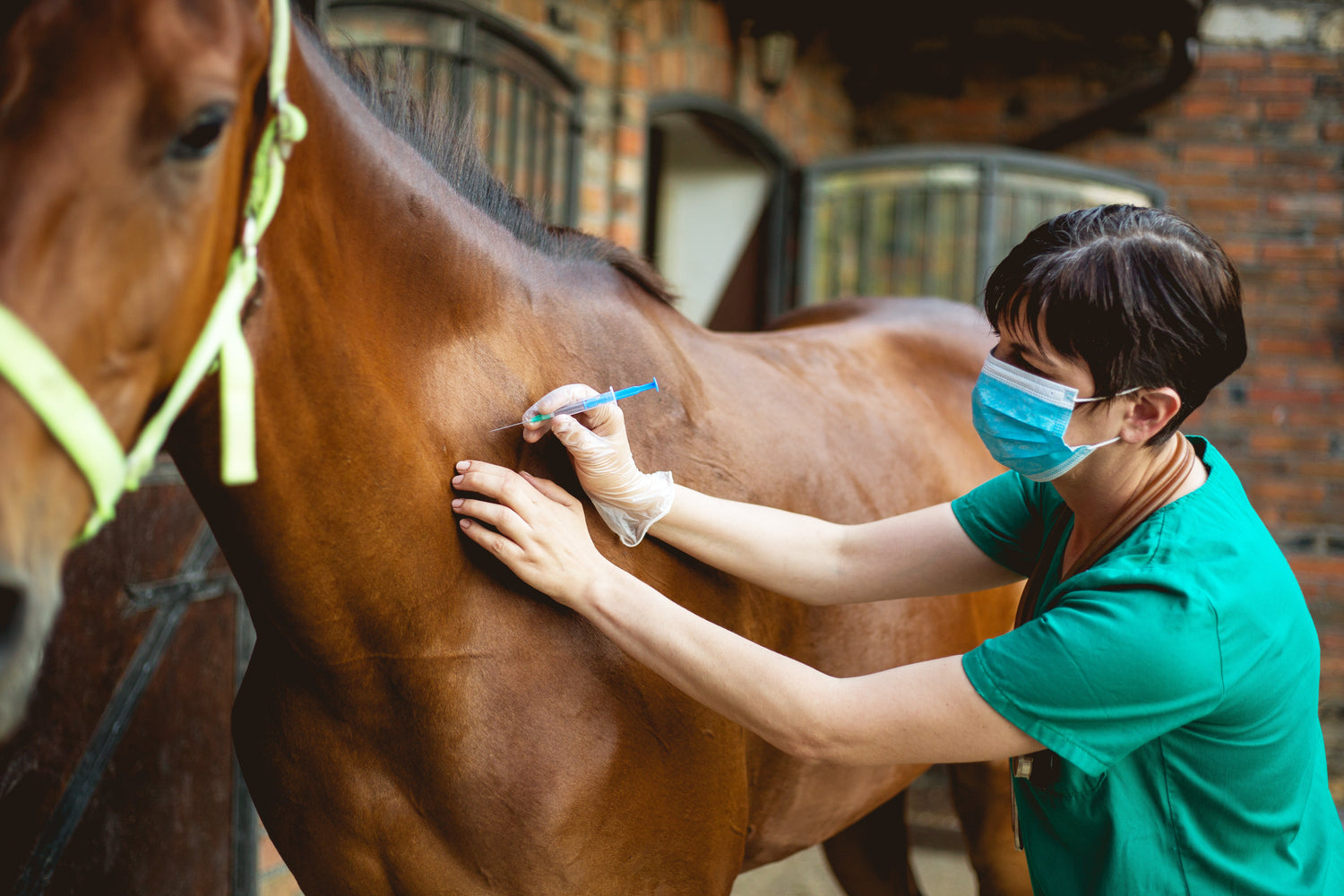 Veterinaria Salud